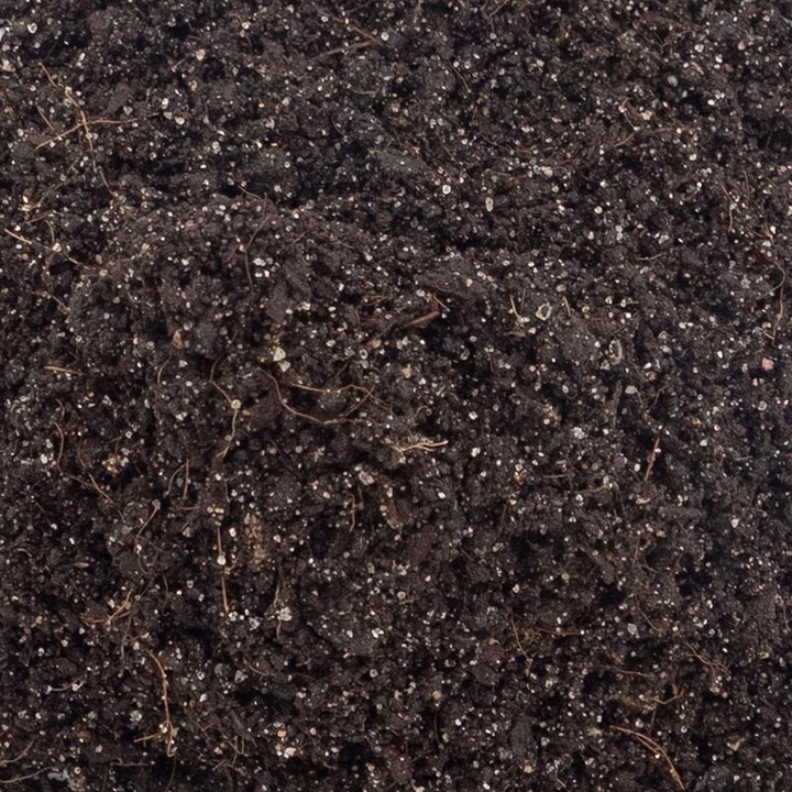 Podłoże dla gekona orzęsionego 3L EXOTIC HOBBY