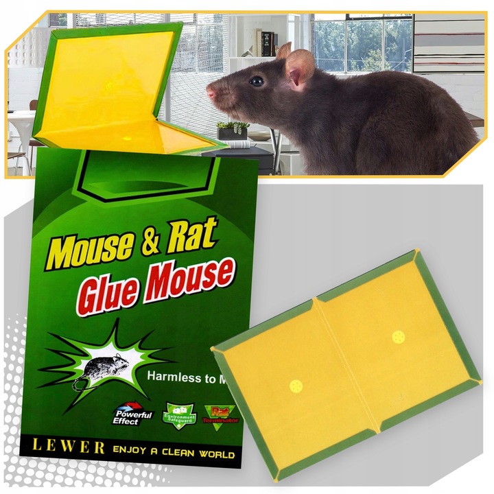 LEP NA MYSZY SZCZURY PUŁAPKA 60x ŁAPKA MYSZOŁAPKA SILNY MOCNY KLEJ