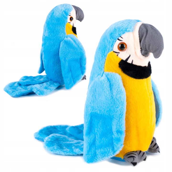 PAPUGA GADAJĄCA POWTARZA TAŃCZY MÓWI MÓWIĄCA Miś GADAJĄCA MASKOTKA