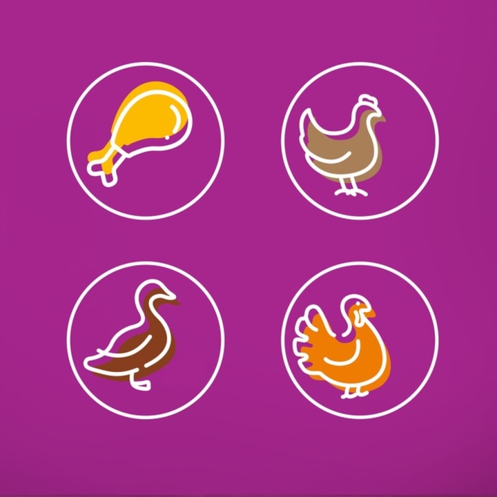 WHISKAS Junior drobiowa uczta mokra karma dla kociąt w galaretce 40x85 g