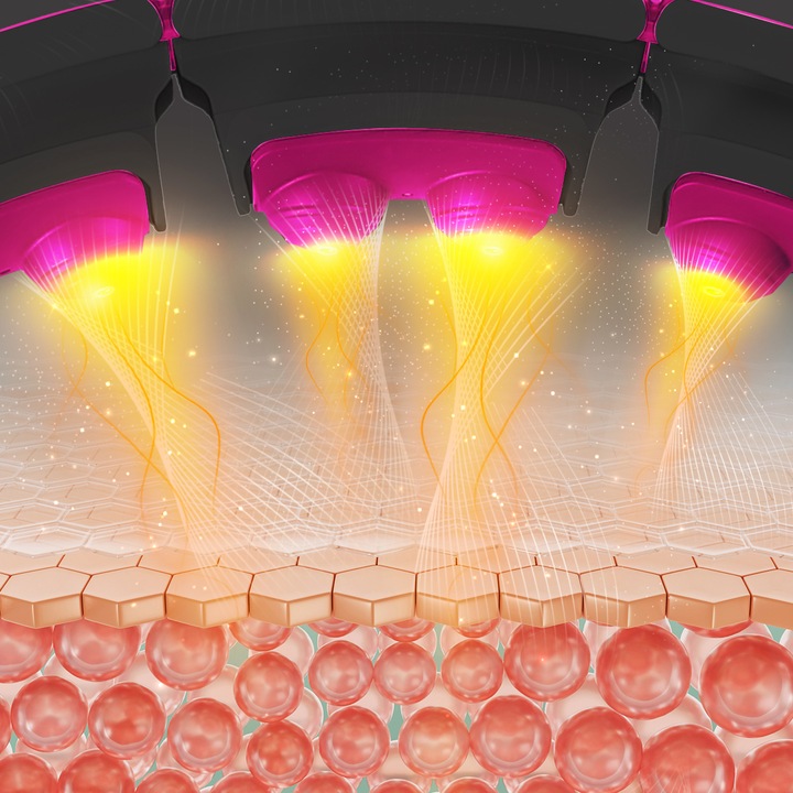 Hula Hop Magnetyczny Z Wypustkami i Obciążnikiem + Pas Wyszczuplający HMS
