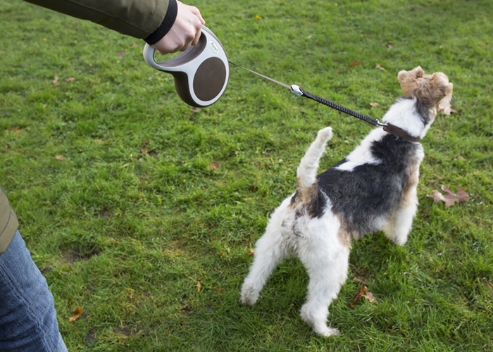 FLEXI L=8m automatyczna smycz dla psów do 50kg