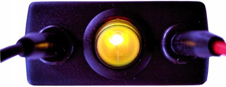 Zapper H.Clark. Elektroniczny antybiotyk.