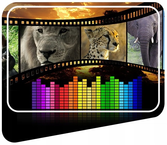 Nawigacja Samochodowa Dla Ciężarówek Ciężarówka TIR GPS 9" iGO Primo