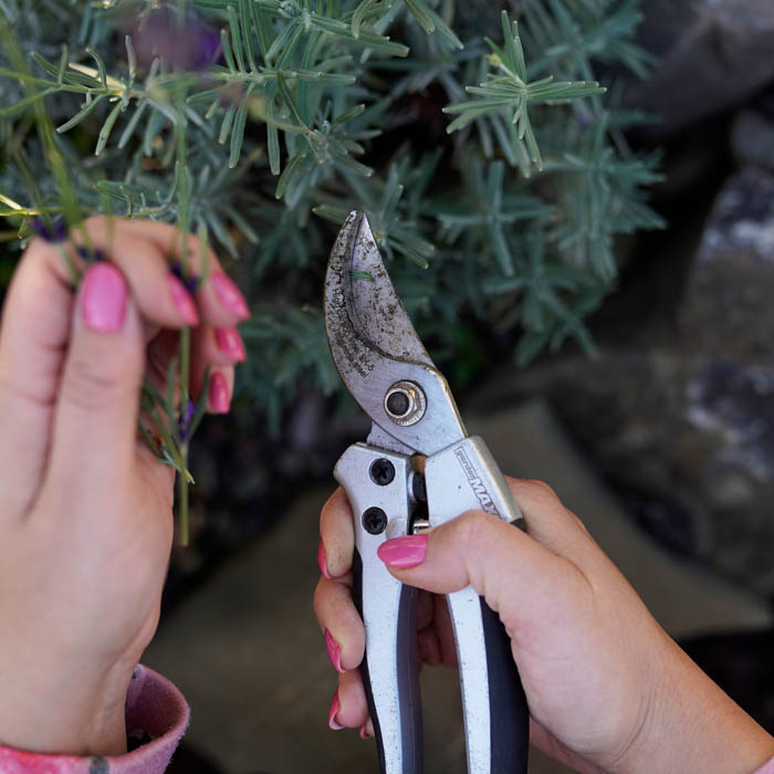 SEKATOR RĘCZNY PROFESJONALNY OGRODNICZY DO GAŁĘZI ROŚLIN gMAX 474A