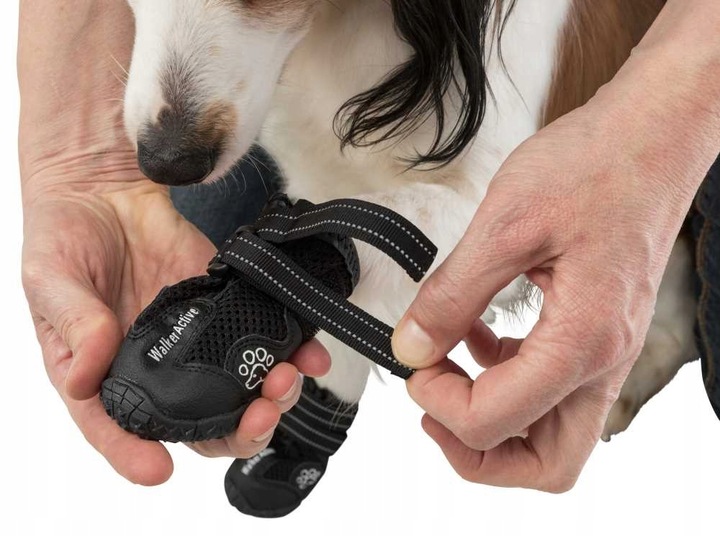 Trixie BUTY OCHRONNE Walker Active dla Psa M-L 2sz