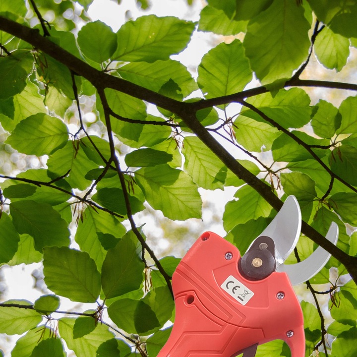 SEKATOR AKUMULATOROWY Ogrodowy Elektryczny Nożyce do Gałęzi Li-Ion 48V