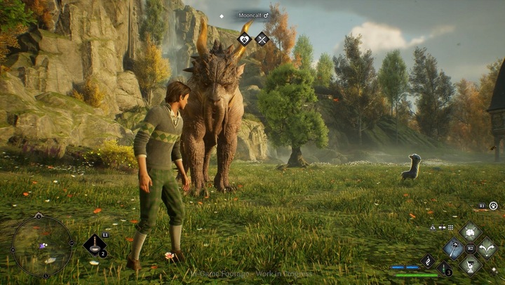 Hogwarts Legacy Dziedzictwo Hogwartu | PEŁNA WERSJA | STEAM | Wysyłka 24/7