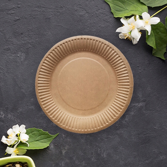 EKOLOGICZNY ZESTAW NACZYŃ JEDNORAZOWYCH DO GRILLA DLA 50 OSÓB – KRAFT