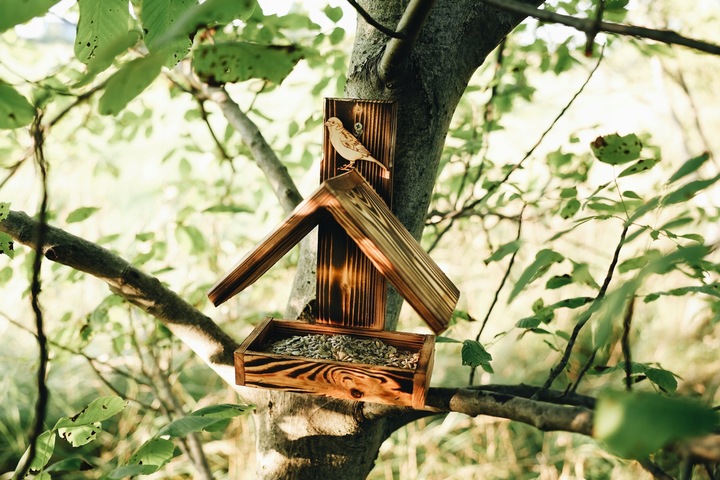 DREWNIANY karmnik dla PTAKÓW budka góralski POLSKI HIT DOMEK