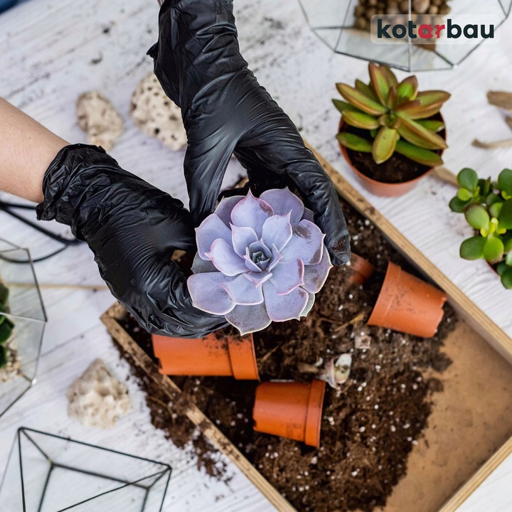 RĘKAWICE L RĘKAWICZKI JEDNORAZOWE CZARNE NITRYLOWE 100SZT NITRYL