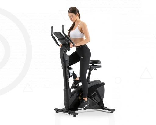 Zipro Rower elektryczno-magnetyczny Rook Gold