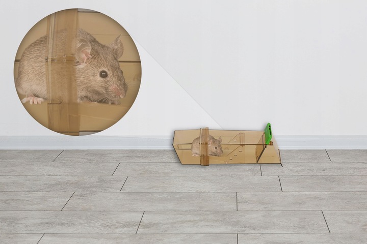 HUMANITARNY CHWYTACZ ŻYWOŁAPKA ŁAPKA PUŁAPKA NA MYSZY GRYZONIE NO PEST