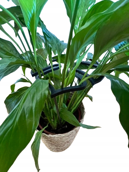 Podpórki do roślin kwiatów podpórka podpora obręcz RING MONSTERA M 33cm