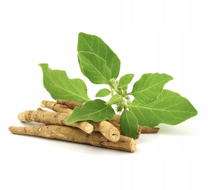 Encann Ashwagandha (Witania Ospała) silny polski ekstrakt w kroplach 50ml