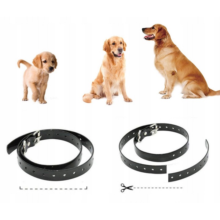 ELEKTRYCZNA OBROŻA DLA PSA TRENINGOWA 800M PILOT