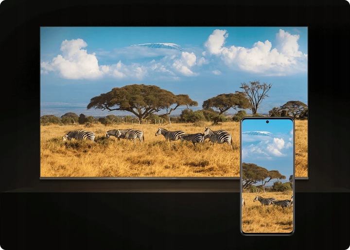 Odtwarzacz Google TV Xiaomi Mi TV Stick 4K 2nd Gen