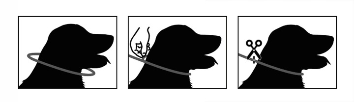 OBROŻA 75CM PRZECIW PCHŁOM KLESZCZOM PASOŻYTOM ROBAKOM DLA PSÓW NO