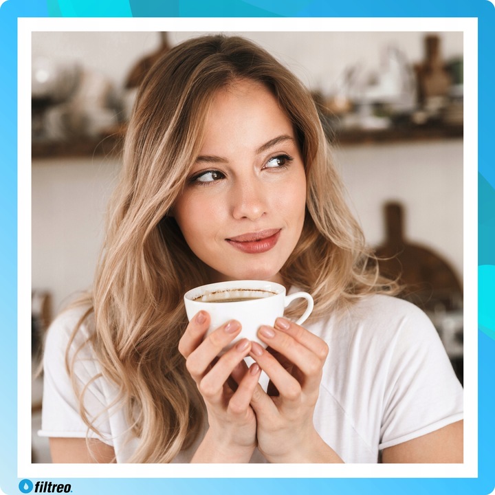 Środek do czyszczenia obiegu mleka 6 saszetek do ekspresu Saeco CA6705