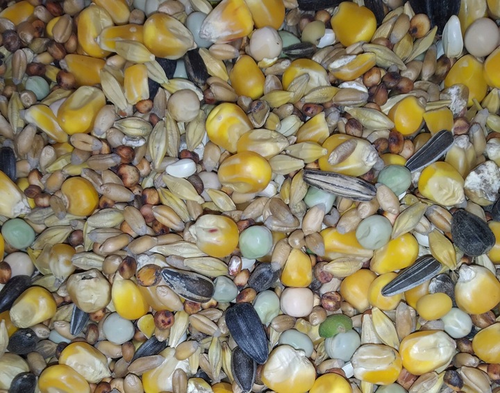 Uniwersalna karma całoroczna dla gołębi 25 kg