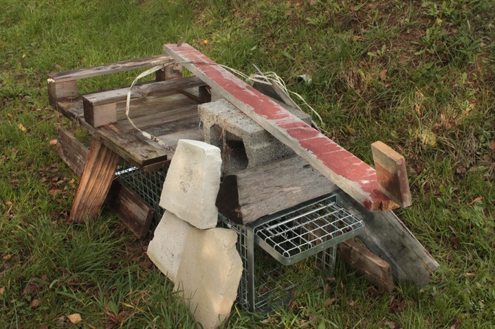ŻYWOŁAPKA PUŁAPKA NA KUNY LISY KOTY BOBRY WYDRY - MOCNA, DUŻA, GRUBY