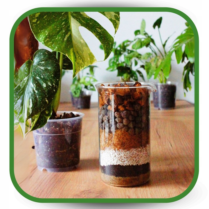 Ziemia do Kwiatów Podłoże do Monstery palm 20L Bio Bigos Lekkie