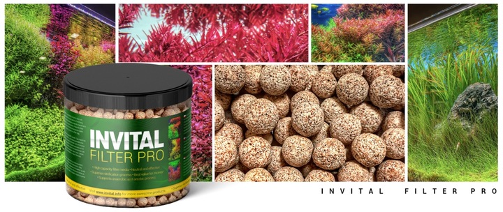 INVITAL Filter PRO 1000ml