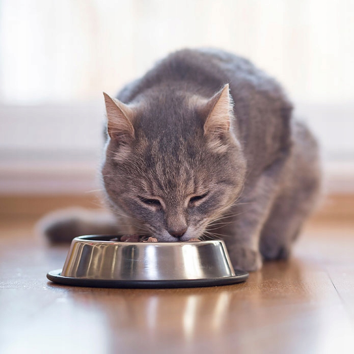 BRIT Premium by Nature karma sucha dla kotów sterylizowanych