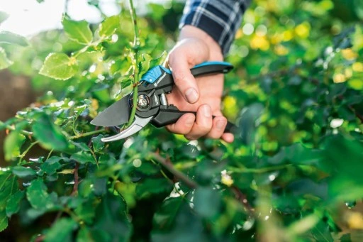 Sekator Nożyce Ręczne Ogrodowe do Gałęzi Ostre