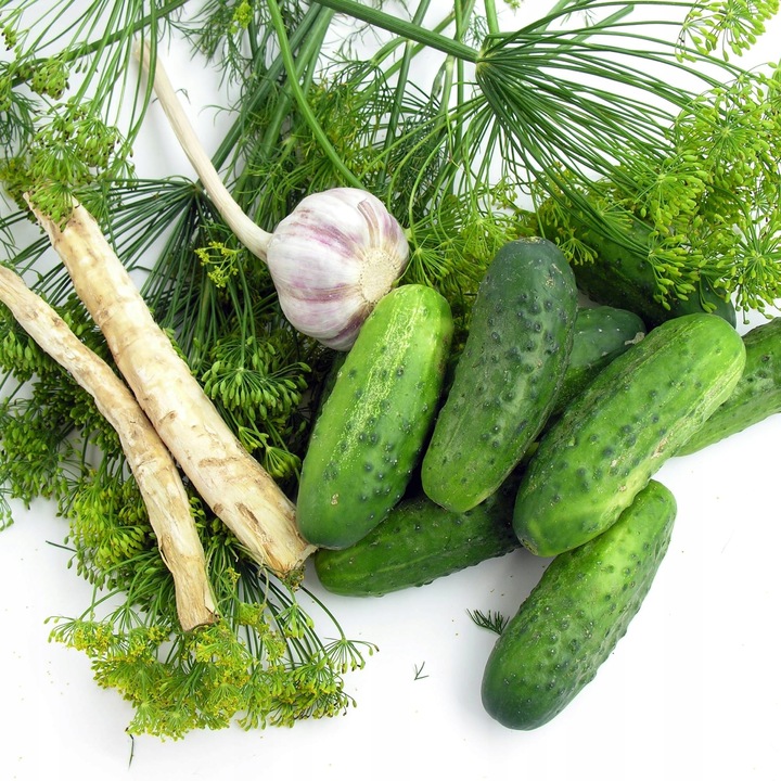 BECZKA STERK 30L PLASTIK Z UCHWYTAMI DO KISZENIA ATEST PRZECHOWYWANIE