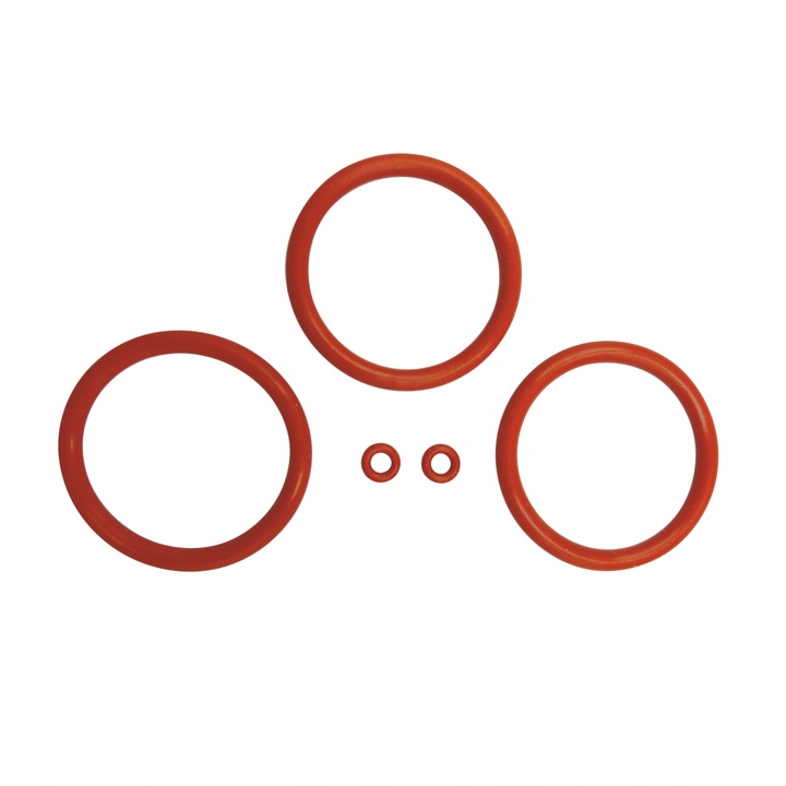 Zestaw uszczelek zaparzacza ekspresów do kawy DeLonghi z serii ECAM