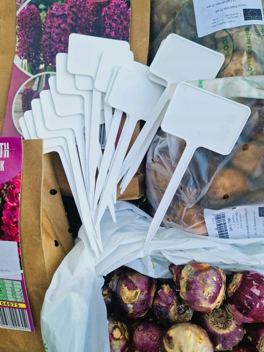 Tabliczki etykiety do opisu roślin PL producent 60x40x155 mm 100 szt.