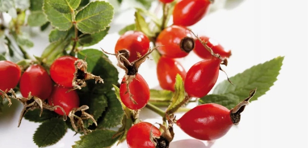 2x BestForKids Best Lab Witaminy Dla Dzieci Żelki BestLab Best For Kids