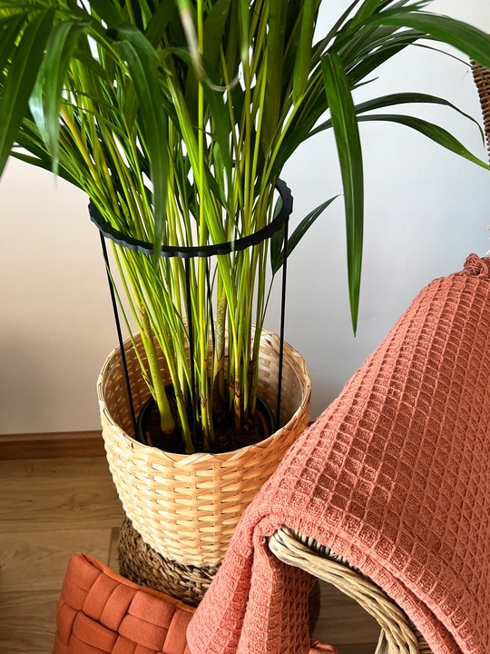 Podpórki do roślin kwiatów podpora podpórka obejma RING ŁĄCZONY 2w1 XL60/28