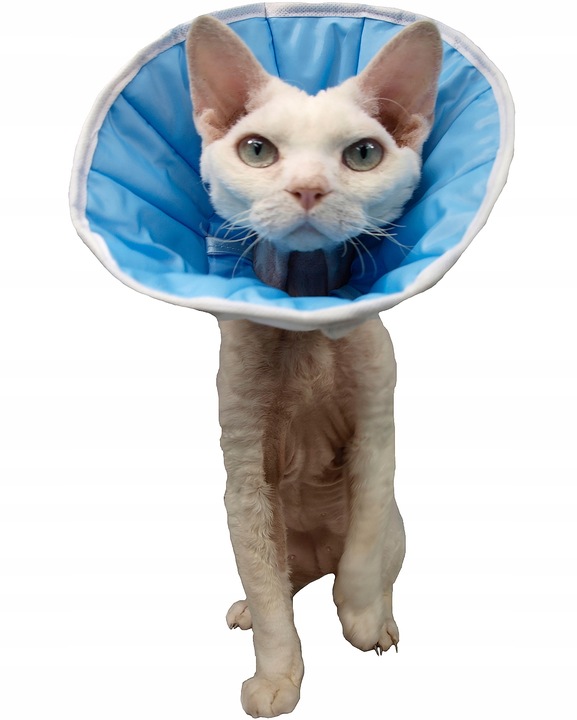 MIĘKKI KOŁNIERZ POZABIEGOWY Z TKANINY PIES KOT 3XL