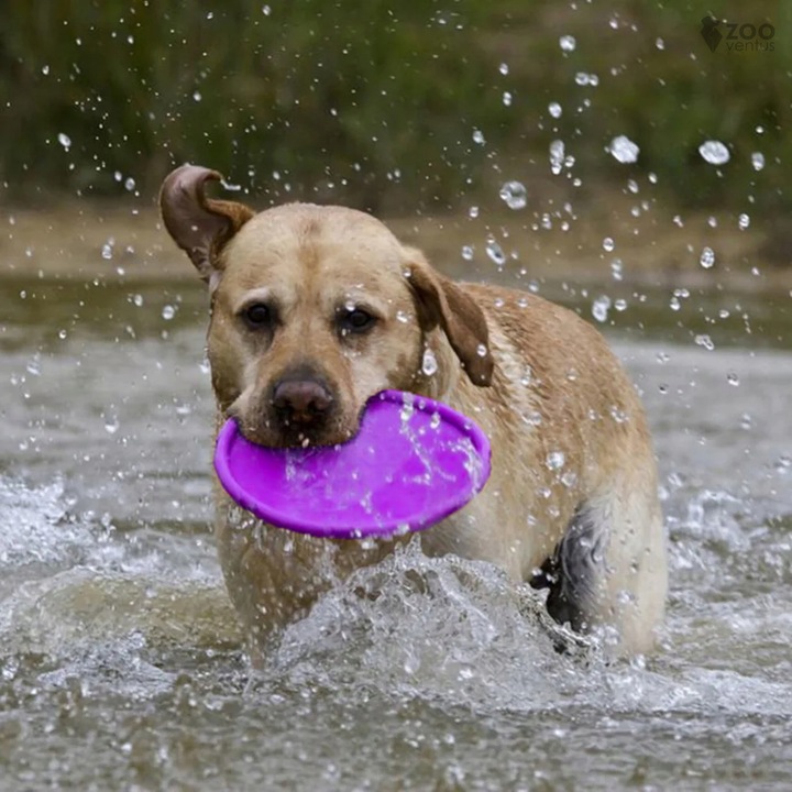 Zestaw 3x DYSK DO RZUCANIA APORTOWANIA FRISBEE GRYZAK zabawka dla psa