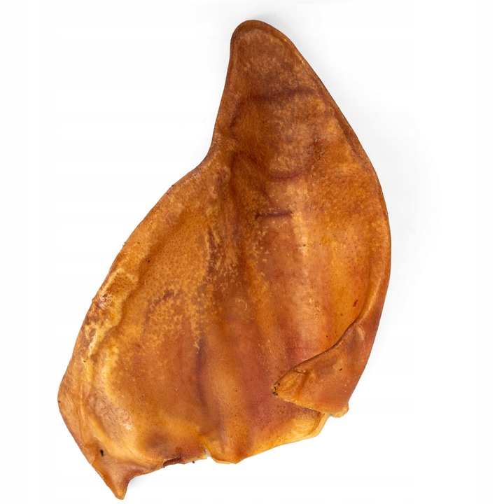 HOCKY Przekąska Przysmak Suszony Gryzak dla Psa Ucho Wieprzowe 10 szt.