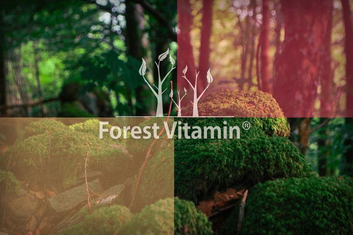 OLEJ Z KRYLA ANTARKTYCZNEGO KRILL MOCNY KRYL OMEGA 3 ASTAKSANTYNA