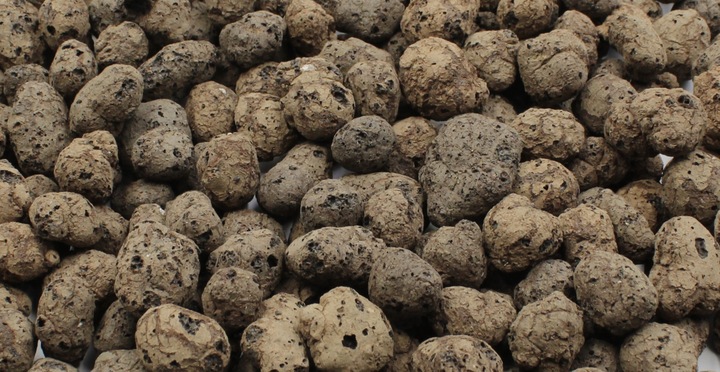 KERAMZYT ogrodniczy 50L ceramiczny ZIEMIA podłoże