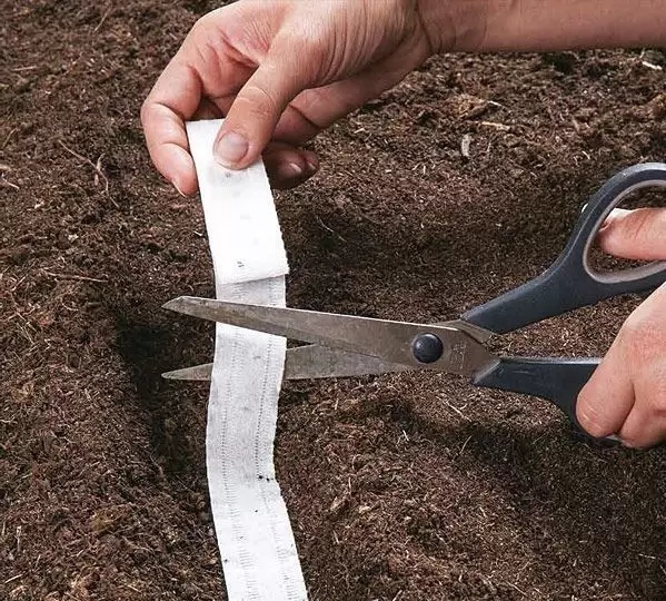 ZESTAW 2240 Sprawdzonych Nasion Warzyw na taśmie