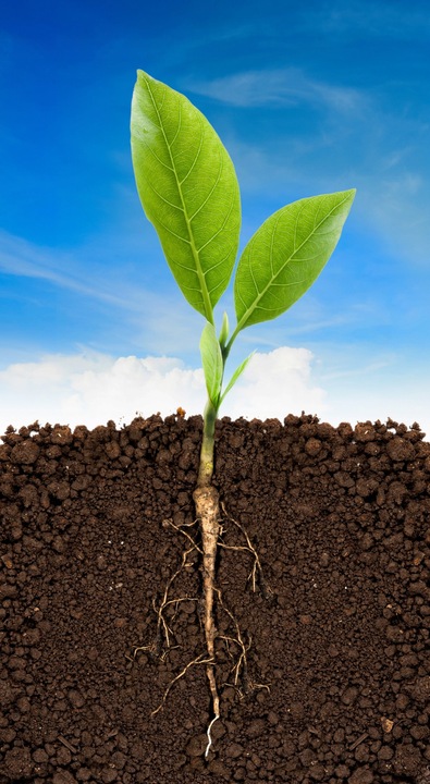 BIOVITA ZIEMIA UNIWERSALNA DO KWIATÓW ROŚLIN 50L