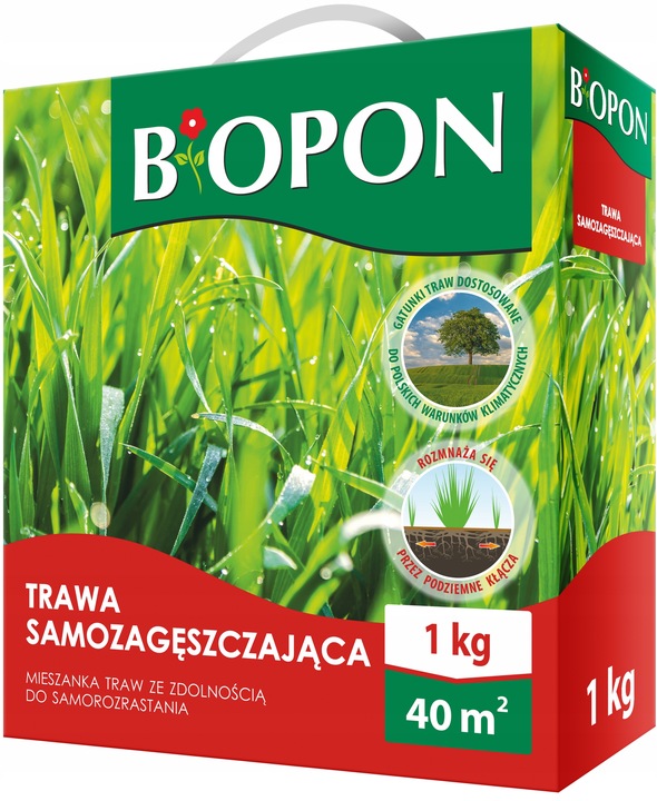 BOPON Trawa samozagęszczająca Biopon 40 m² / 1 kg