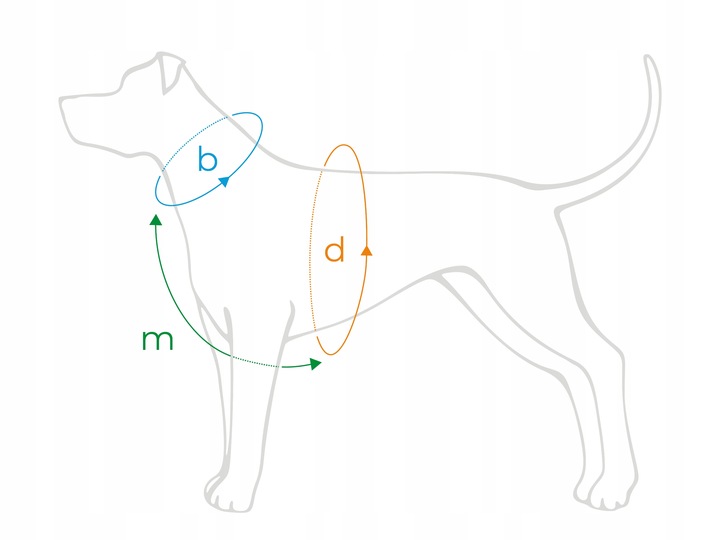 amiplay Szelki regulowane Guard Samba XL Czarne
