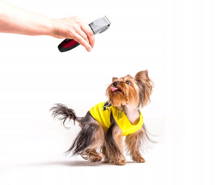 MASZYNKA DO STRZYŻENIA PSÓW PSA KOTA CAMRY CR 2821