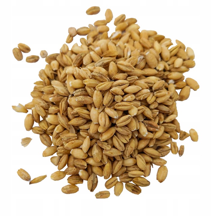 Kasza PĘCZAK JĘCZMIENNA 25kg worek