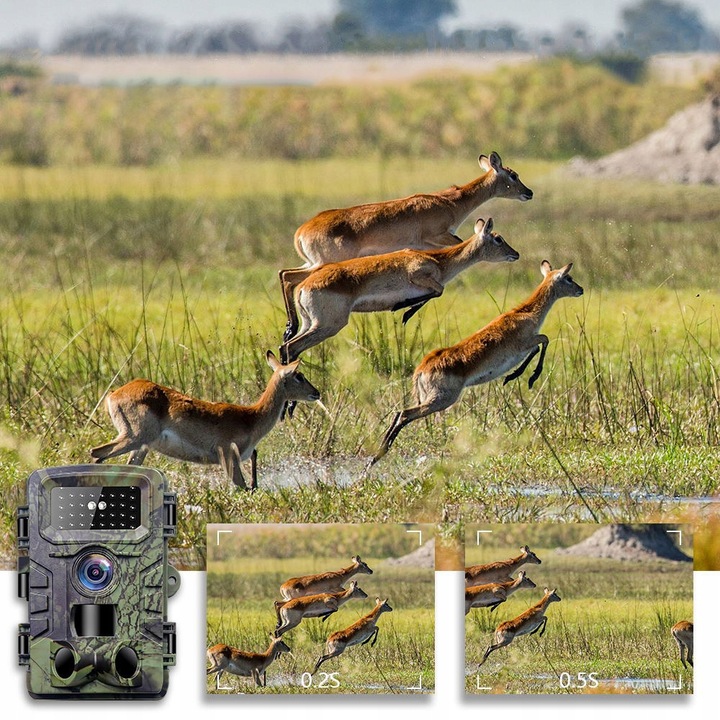 Kamera Leśna Fotopułapka Myśliwska Ip66 Czujnik Ruchu IR Tryb Nocny