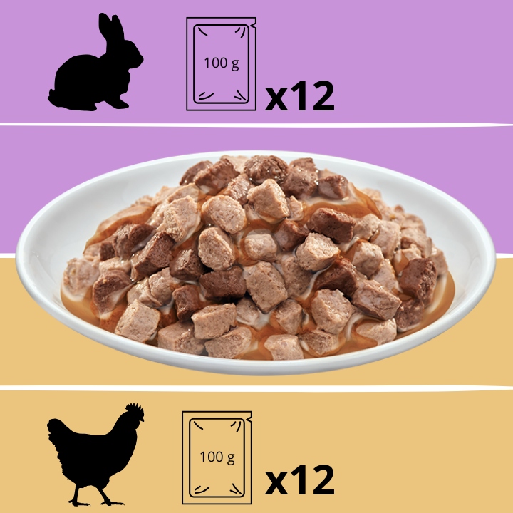 MOKRA KARMA DLA KOTA MIX SMAKÓW MEGA BOX SASZETKI W SOSIE 48X100G PREVITAL