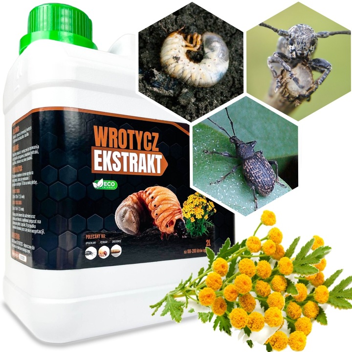 WROTYCZ EKSTRAKT 2l ZWALCZA OPUCHLAKI PĘDRAKI DRUTOWCE W GLEBIE NA