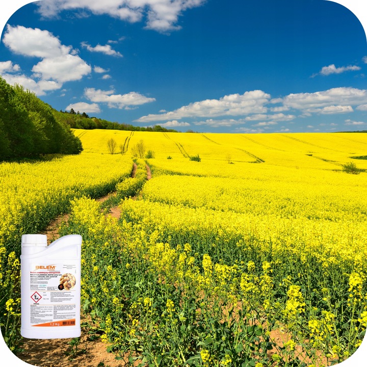 BELEM 1,2KG Środek OWADOBÓJCZY DOGLEBOWY ZWALCZA PĘDRAKI DRUTOWCE