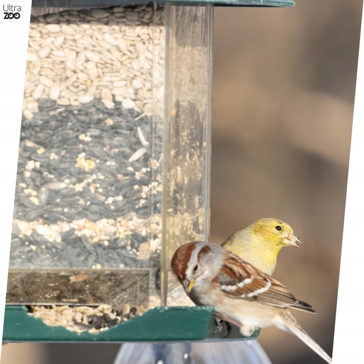 TRUX Karma ziarno dla ptaków zimujących 10kg sikorek wróbli gołębi zimowa